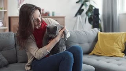Bien traiter son animal : un devoir légal