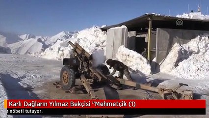Karlı Dağların Yılmaz Bekçisi "Mehmetçik (1)