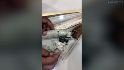 Grandmother Finds Dead LIZARD In Her Dessert