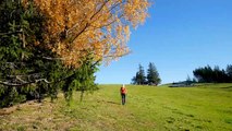 Wanderung im Allgäu: Über den Hündle