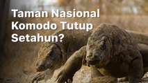 Jaga Kelestarian, Taman Nasional Komodo Tutup Setahun