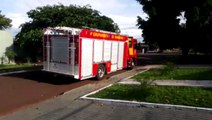 Bombeiros são acionados para captura de cachorro no Santa Cruz