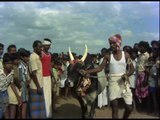 Murattu Kaalai | Tamil Movie | Scenes | Clips | Comedy | Songs | Rajini tames the bull