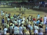 Murattu Kaalai | Tamil Movie | Scenes | Clips | Comedy | Songs | Bull fight in village