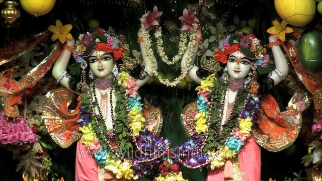 Manimahesh Yatra - a pilgrimage into the Himalaya