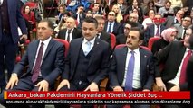 Ankara_bakan Pakdemirli Hayvanlara Yönelik Şiddet Suç Kapsamına Alınacak-1