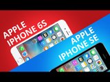 iPhone 6S VS iPhone SE [Comparativo]