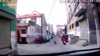 Clever golden retriever leads ambulance to his unconscious owner