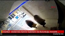 İstanbul- Aralarında Hamile Kadınların da Bulunduğu Hırsızlık Çetesi Kamerada