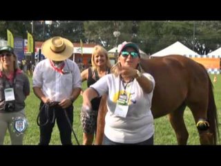 Momento Expô Londrina: A Equoterapia