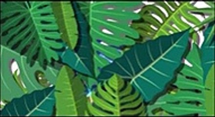 당진출장마사지 -후불100%ョØ1Ø-5628-0391【카톡-TOP1177】→#V# 당진출장안마 당진출장샵 당진오피 당진출장전문업소 당진출장안마추천 당진콜걸 ♩당진출장맛사지