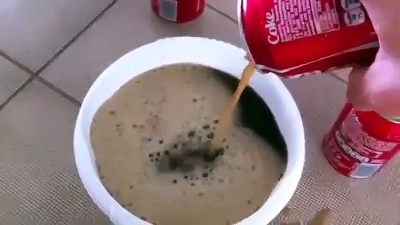 Il laisse un oeuf dans du Coca-Cola pendant 1 an  expérience géniale !!