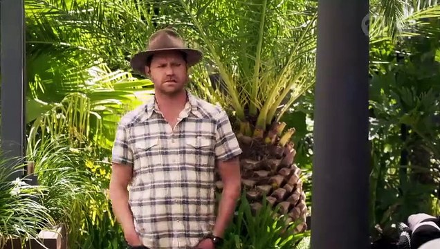 Neighbours 8024 - 24th January 2019