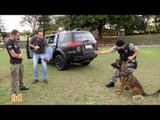 Fui!: Operações policiais com cães (3 de 3)