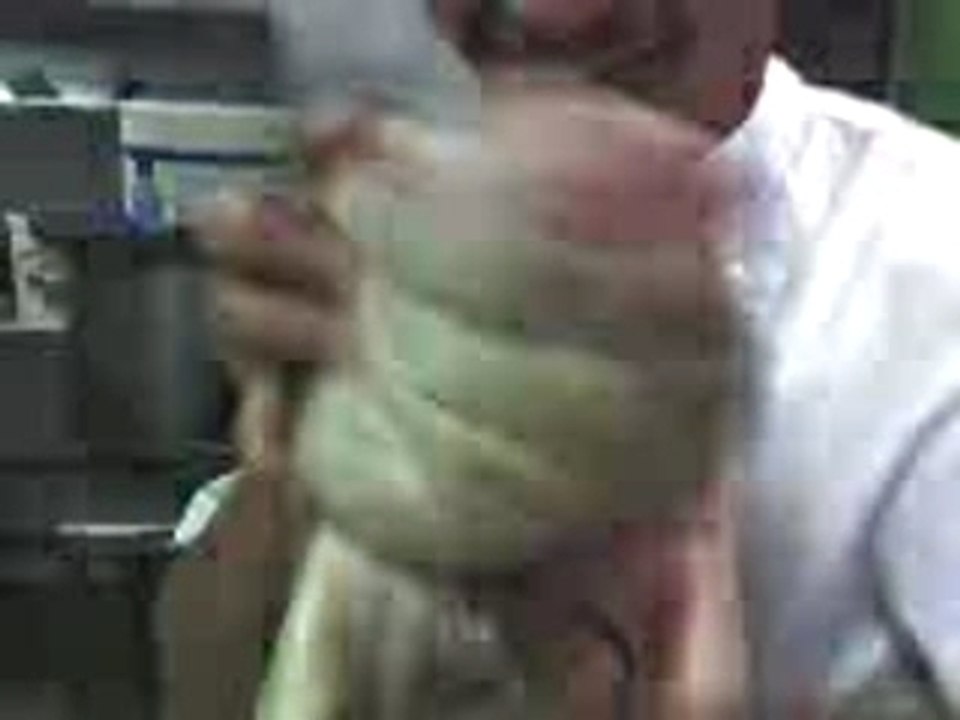 J'accouche d'un cochon mort