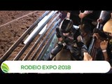 Multi Agro: Rodeio Expo Londrina 2018 (1 de 2)