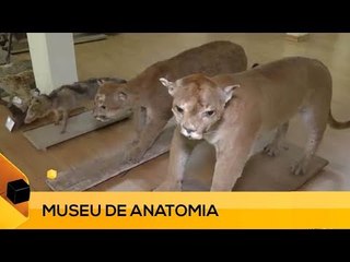 Fui!: Dia dos Museus (2 de 3)