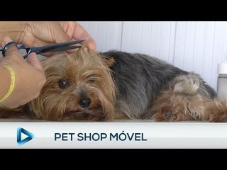 Empreender Play: Pet shop móvel