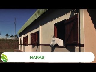 Multi Agro: Haras
