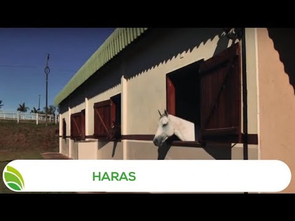 Multi Agro: Haras