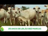 Multi Agro: 25 anos de Leilão Dez Marcas