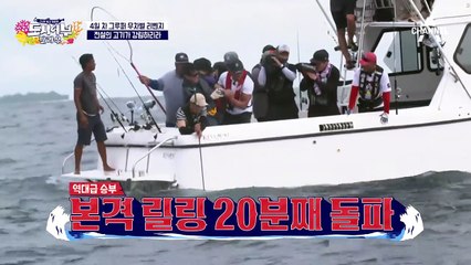 경규에게 찾아온 괴물 고기 '나폴레옹 피쉬'? 아님 '대물 그루퍼'?