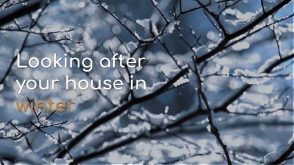Looking after student lettings in winter
