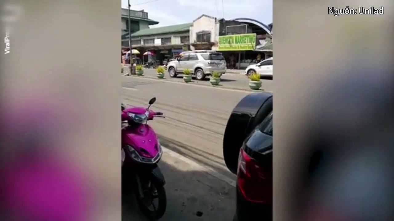 Đau lòng chú chó con bị xe tông, chó mẹ chạy ra giữa dòng xe cộ cầu cứu mọi người