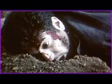 Deepavali Tamil movie | Scenes | Title Credits | Jayam Ravi admitted in hospital | Vijayakumar