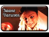 Naane Varuven |Tamil Horror Movie Scenes| Strange rituals by wizard |Power Star | AP International