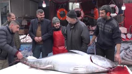 2 Metrelik Orkinosu Gören Bol Bol Fotoğraf Çekti