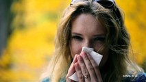 Company Reportedly Selling $80 Used Tissues So You Can Decide When You Want to Get Sick