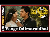 Kalai Vendhan Tamil Movie | Songs | Yenge  Odimaraidhai song | Ajay suspects Sanam is alive