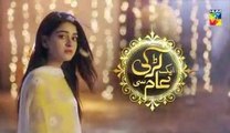 Aik Larki Aam Si Epi 153 HUM TV Drama 24 January 2019