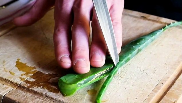 Estrazione gel Aloe Vera | Haze Cosmetics