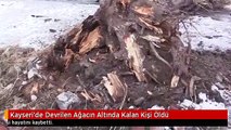 Kayseri'de Devrilen Ağacın Altında Kalan Kişi Öldü