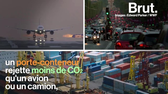 Voici l'impact du transport maritime sur l'environnement