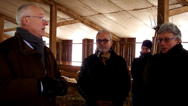 Pour le préfet des Vosges, le loup de la plaine pose problème
