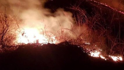 가평군 북면 야산서 화재...큰 불길 잡혀 / YTN