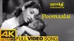 Parasakthi Tamil Movie Songs | Poomaalai Full Video Song 4k | Sivaji Ganesan | 4k HD Video Songs