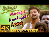 Vikram Songs | Moongil Kaadugale Video Song 4K | Samurai Tamil Movie | Harris Jayaraj