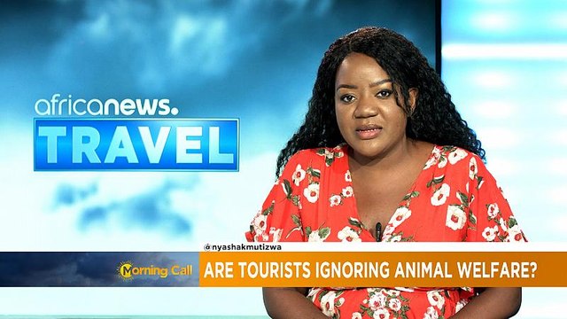 Are tourists ignoring animal welfare? [ Travel ]