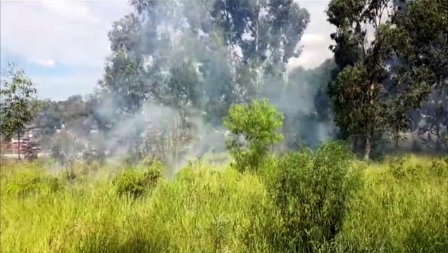 Incêndio em vegetação mobiliza Corpo de Bombeiros