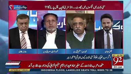 Saudi Arab Is Agree To Invest Here 30 Billion Dollar As A Strategic Partner-Mehmood ur Rasheed
