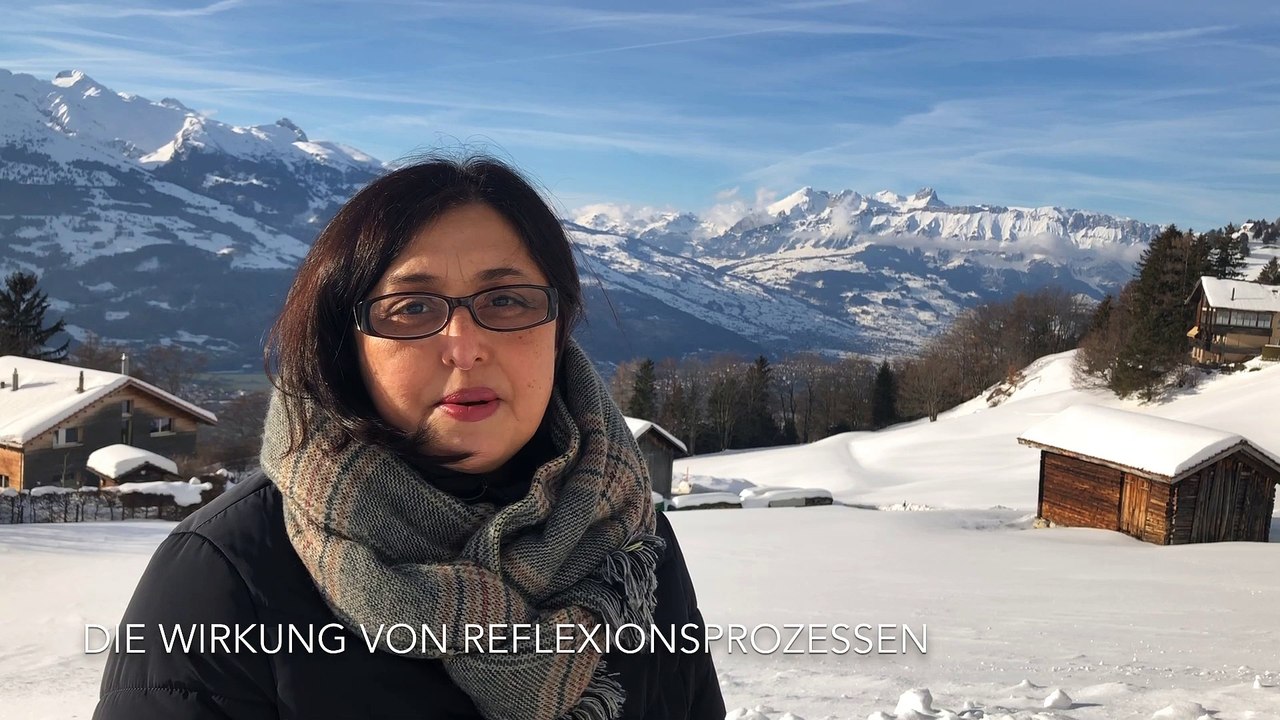 Die Wirkung von Reflexionsprozessen