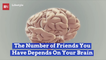 Does Your Brain Power Affect How Many Friends You Have