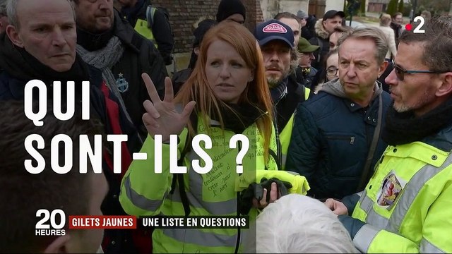 Gilets jaunes : la liste aux européennes fait débat au sein du mouvement
