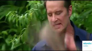 I'm a Celebrity...Get Me Out of Here! NOW! - Season 5 Episode 10
