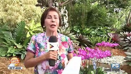 WWW: Philippine Plant Festival 2019