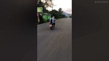 Cat Riding Pillion On Motorbike